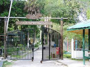 Guyana-Zoo